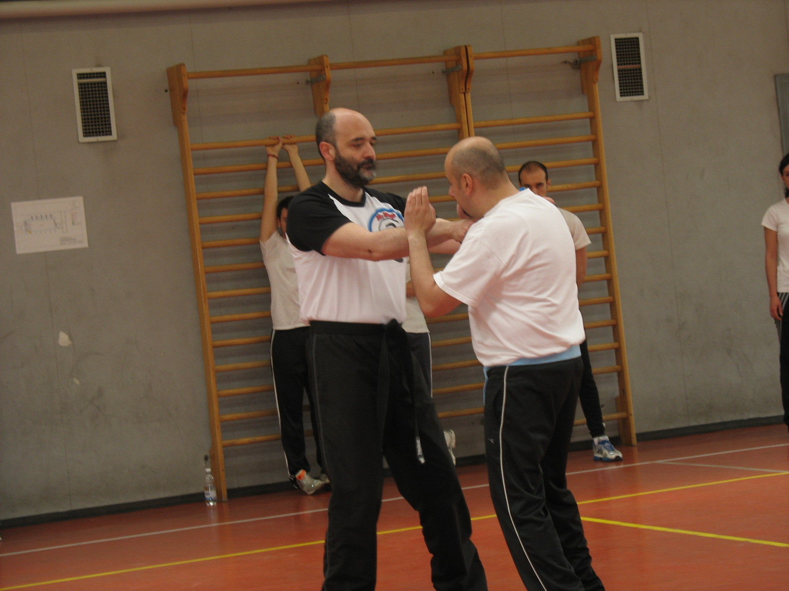 IMG_2488 IMG_2488